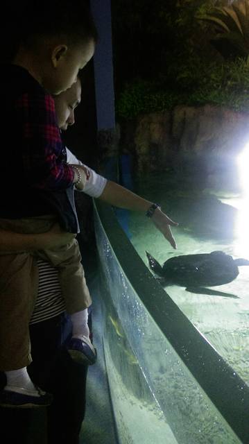 罗源海洋世界 - 程家小歌918的日记-babytree 宝宝树