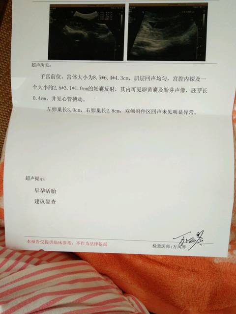 宝妈们,看看表现是还是男孩女孩?_怀孕47天的的男生女生帮忙很在意图片