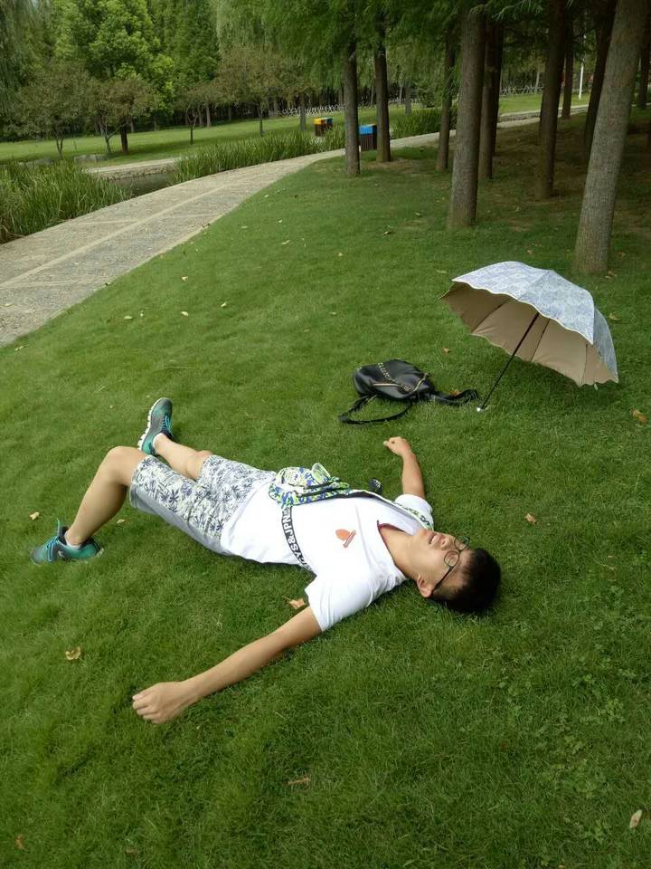 这软绵绵绿油油的草地,躺下睡一觉吧!可惜丁说:哎呀,扎到我了!