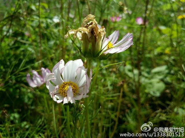 痛经严重怎么办_产后痛经严重,而且还妇科病怎