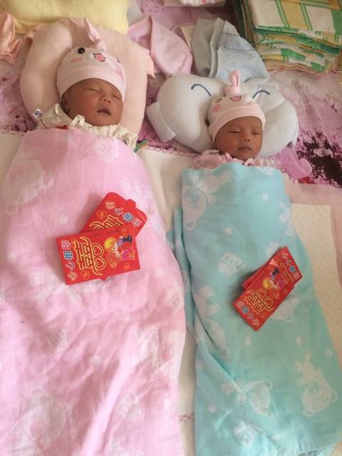 同卵双胞胎长得不像的。_两个小猴子长得不一