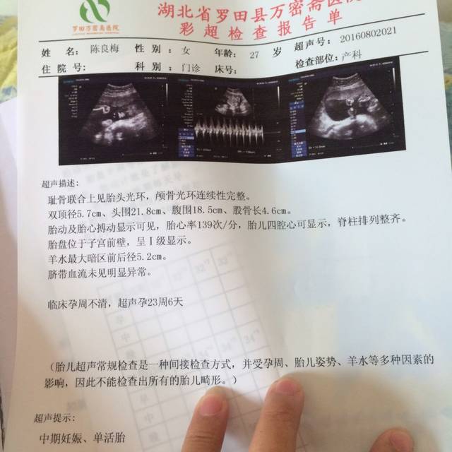 B超归来,记得有人说看双顶径和股骨长可以分辨