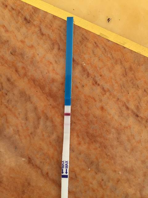 晚上刚测的_今天左侧小腹刺疼一小会应该是着