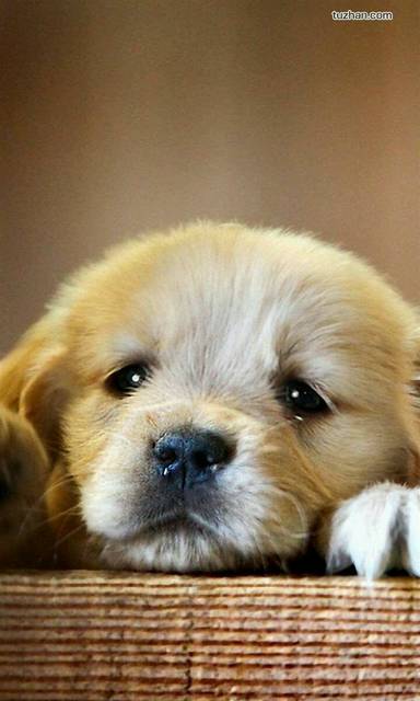 宝宝放屁的原因之:吃多了_宝宝放屁的原因之: