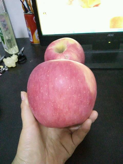 我家的大蒜苗_刚种了半月的大蒜苗,你信吗