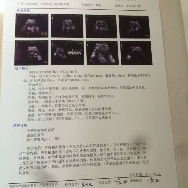 前置胎盘低的来讨论一下_24周排畸彩超显示前