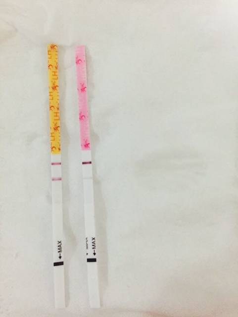 求判断月经期前2天排卵试纸强阳性 是否好孕?