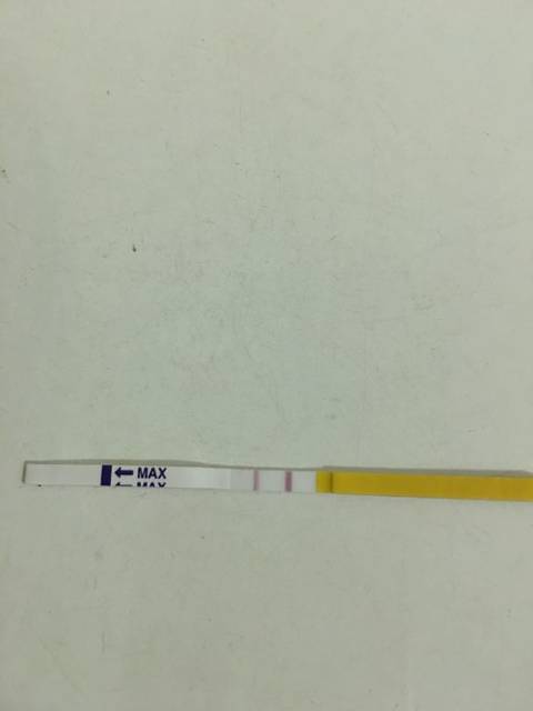 不排卵怎么回事呀?_10月28号来的月经 11月1