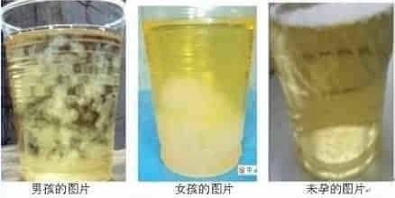 酒精和尿液测宝宝性别真的准吗?