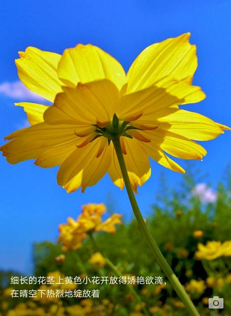 !_二胎宝妈们。怀男宝跟女宝是不是症状跟饮食