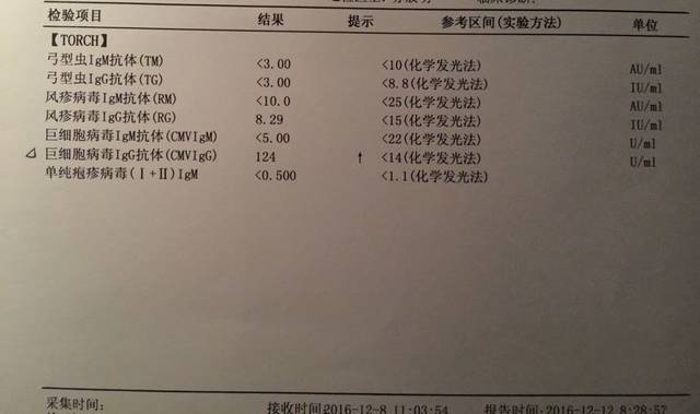 孕妇巨细胞病毒igg抗体124,igm