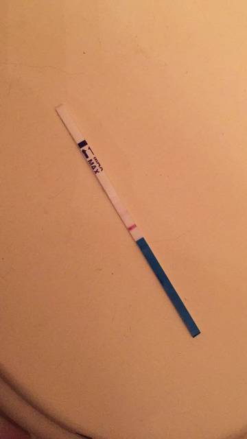 B超检测没有优势卵泡,但是却怀孕了_11月19末