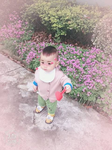 宝妈们好啊!_宝宝暍养乐多好吗_宝宝树