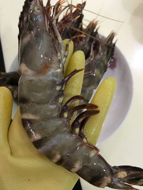 家常清蒸老虎虾_我们一家三口都喜欢吃海鲜 哈