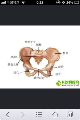 孕期耻骨和坐骨疼的来聊聊