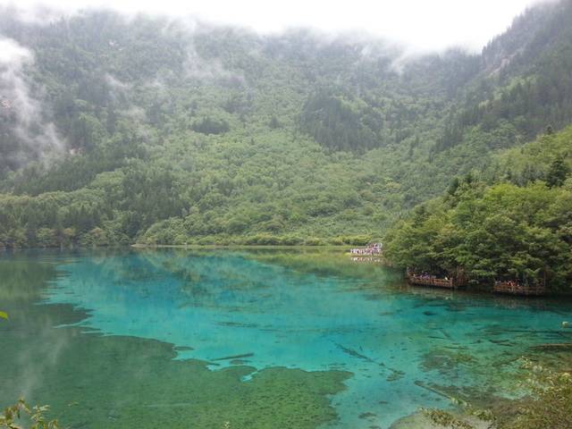 五花海,九寨沟的标志性景观,也是我现在的微信头像.