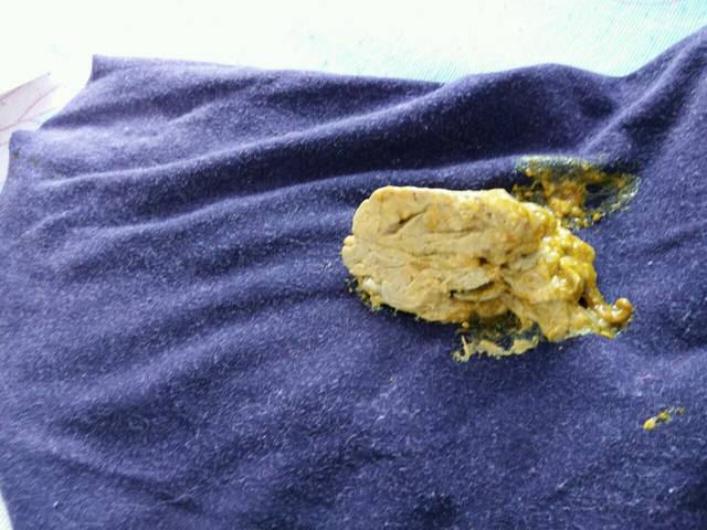 这样是肠胃不好吗_我家宝宝马上六个月 今天一