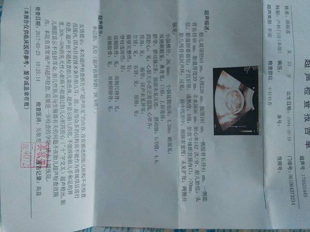 帮我分析下中期二维彩超排畸检查报告_今天做