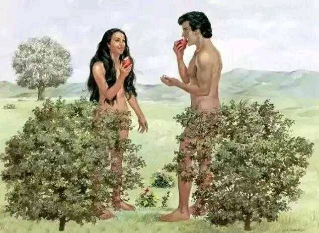 上帝造人全过程,看完简直不敢相信自己的眼睛!