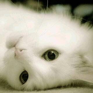 刚开始知道自己怀孕了,心情特别好,可是好景不