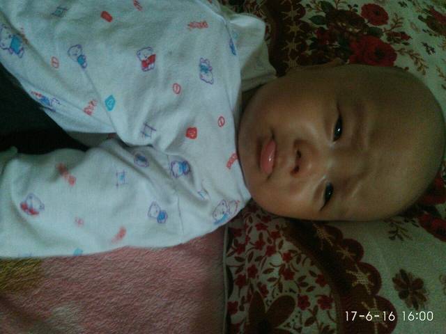 我家的表情包…_一孕傻三年,懵的都不知道在哪