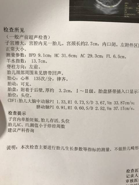 36周b超数据,腿偏短怎么办?
