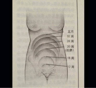 怀孕快23周了,胎动一直在肚脐眼下面,鼓包包也