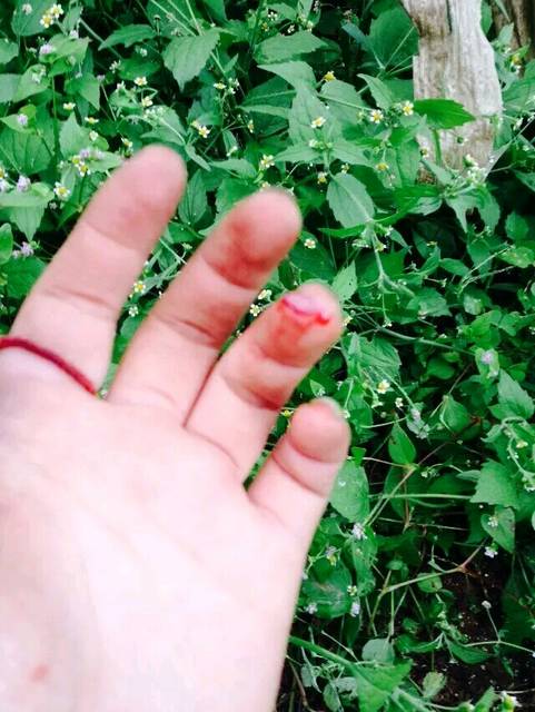 童年中心小学楼梓庄图片