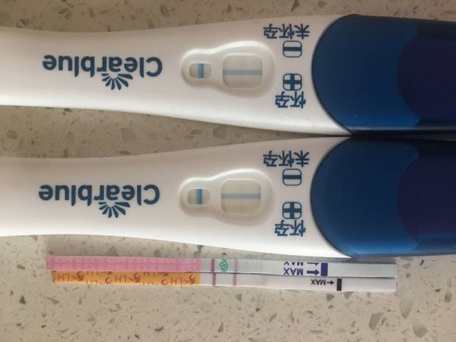 排卵试纸阳,可丽蓝试纸浅印,怀孕几率多大呢?