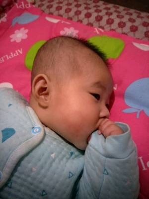 journal_insert_pic_915435235