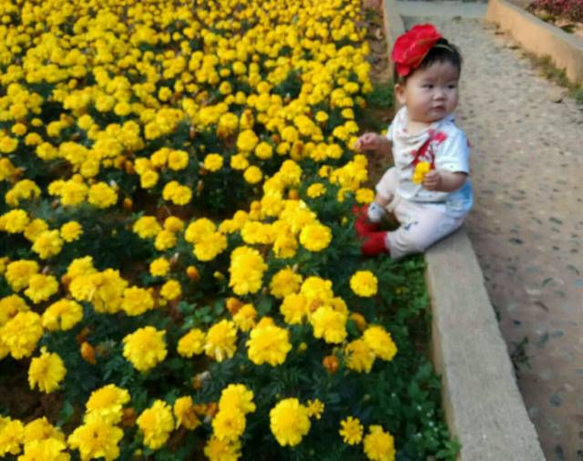 宝宝6.9,快九个月了该不会爬,你们的会了没有?