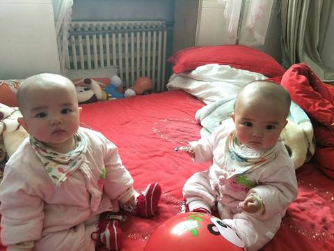 我家双宝宝八个月14天了,没长牙,会坐,能爬一点