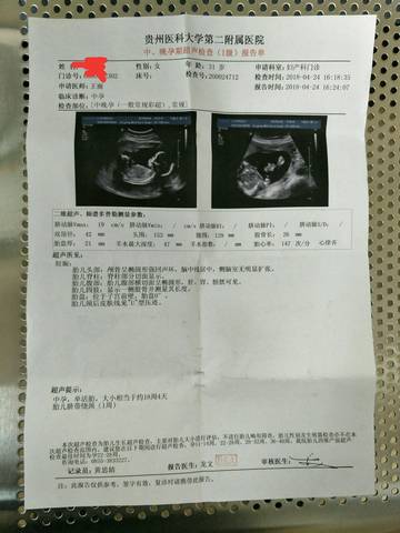 请问这个b超单是男宝宝还是女宝宝