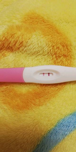 记录我的小猪宝