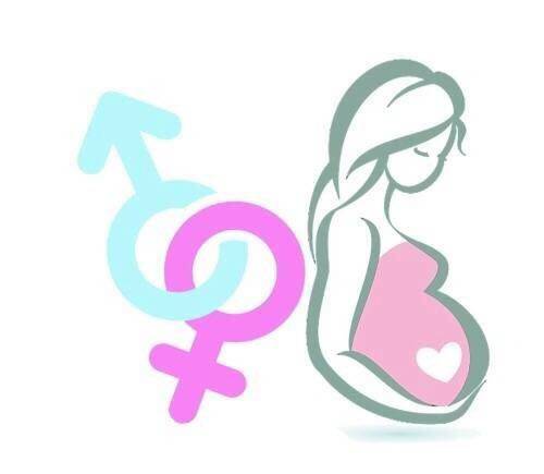 梦想成真的怀了双胞胎至今感觉像做梦双绒毛膜