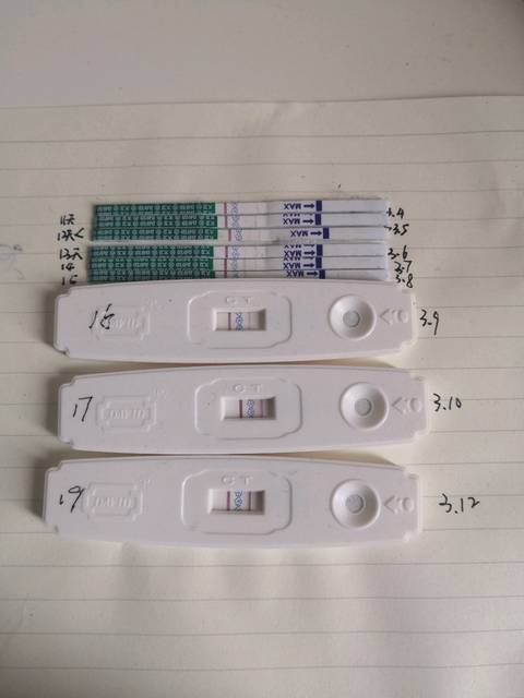 分享从排卵到着床症状