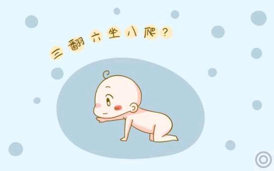 学坐年龄:5～8个月,宝宝从翻身转为坐姿  一般6个月大的宝宝会坐了