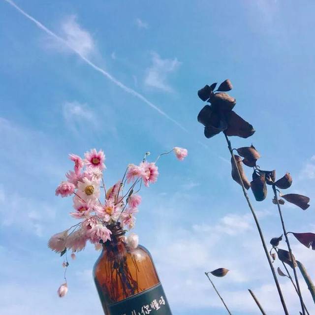来一波好看的朋友圈背景图
