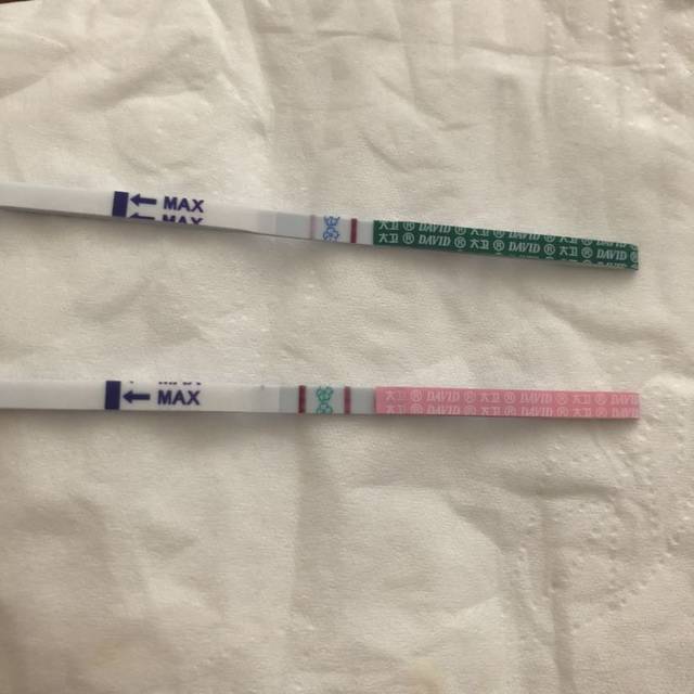 排卵同房第12天早孕弱阳,排卵强阳能确定是怀上了吧