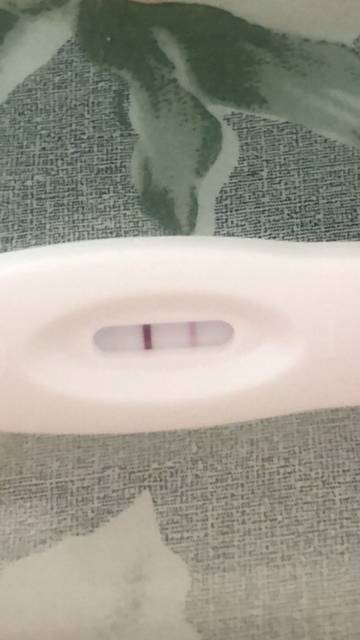以前有多囊,两个月没来月经了验孕棒一深一浅,怀孕吗?