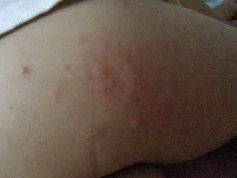 journal_insert_pic_1604974270