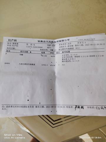 journal_insert_pic_1628955186