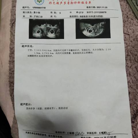 journal_insert_pic_1668328298