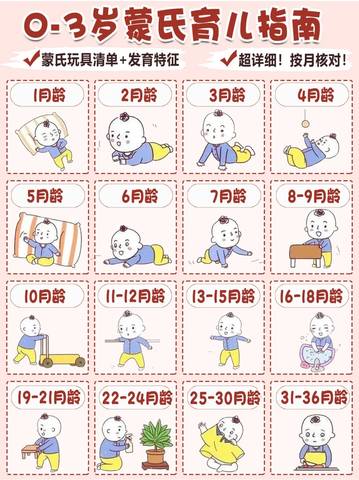 journal_insert_pic_1724473998