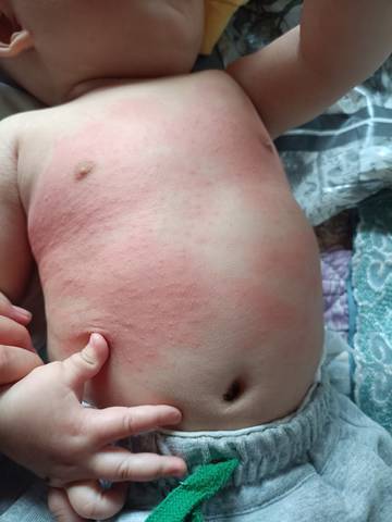 journal_insert_pic_1787182958