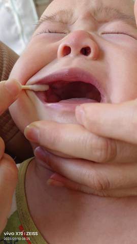 journal_insert_pic_4061232575