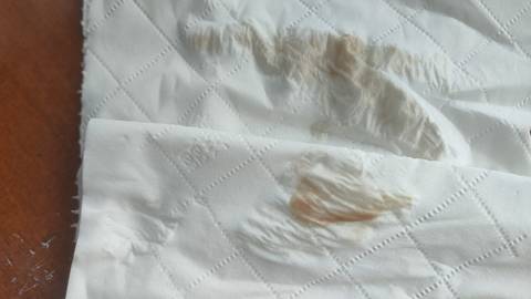 journal_insert_pic_4107145759