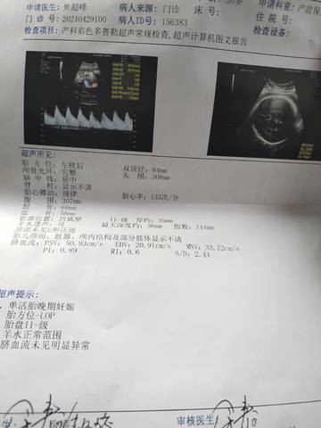 journal_insert_pic_4109027595