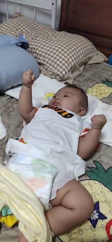 journal_insert_pic_4118372529