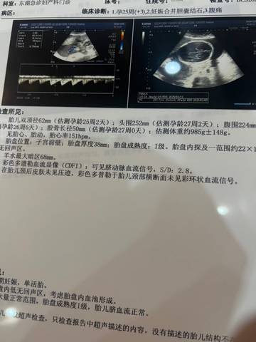 journal_insert_pic_4122263103